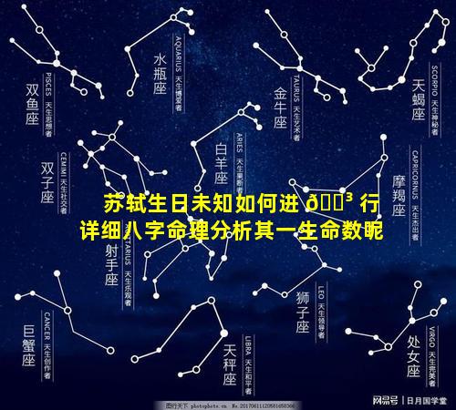 苏轼生日未知如何进 🐳 行详细八字命理分析其一生命数呢